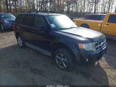 FORD ESCAPE 2011