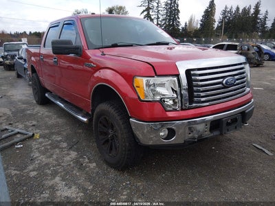 FORD F-150 2010