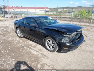 FORD MUSTANG 2013