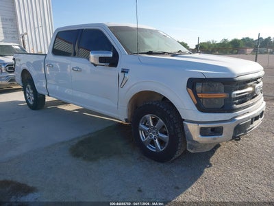 FORD F-150 2024