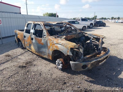 FORD F-150 2010