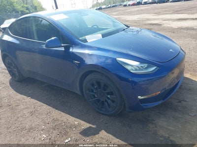 TESLA MODEL Y 2021