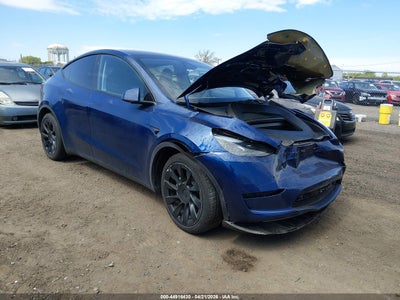 TESLA MODEL Y 2024