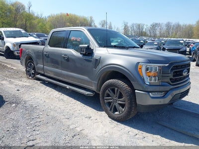 FORD F-150 2023