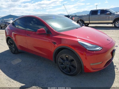 TESLA MODEL Y 2020