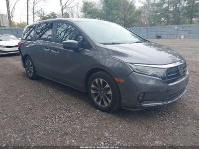 HONDA ODYSSEY 2024