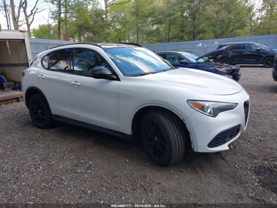 ALFA ROMEO STELVIO 2019