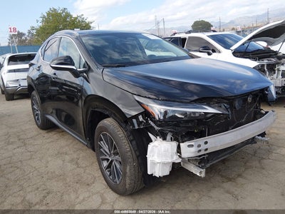 LEXUS NX 2024