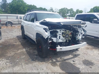 TOYOTA SEQUOIA 2024