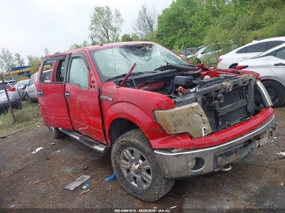 FORD F-150 2009