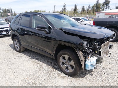 TOYOTA RAV4 2024