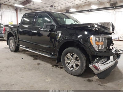 FORD F-150 2023