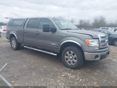 FORD F-150 2014