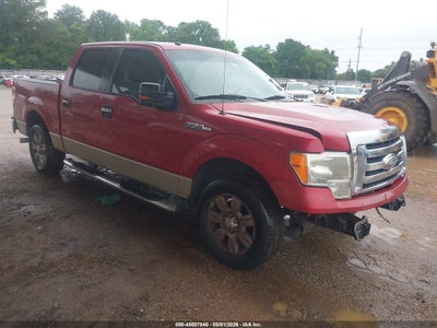 FORD F-150 2009