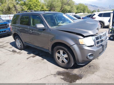 FORD ESCAPE 2010