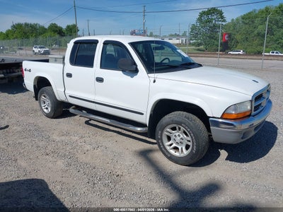 DODGE DAKOTA 2004