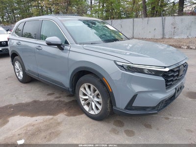 HONDA CR-V 2024