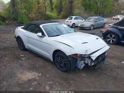 FORD MUSTANG 2019