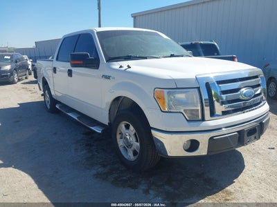 FORD F-150 2009