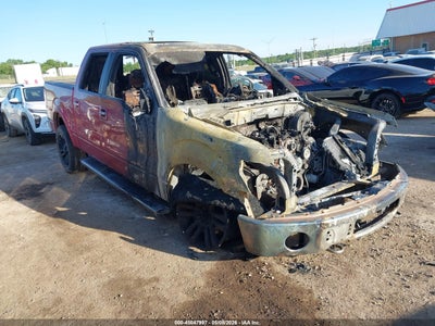FORD F-150 2010