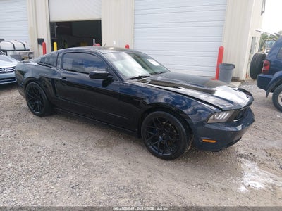 FORD MUSTANG 2010