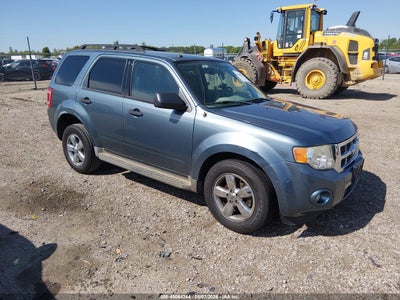 FORD ESCAPE 2010
