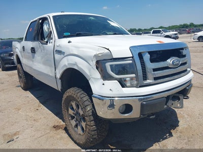 FORD F-150 2010