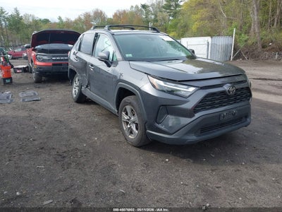 TOYOTA RAV4 2024