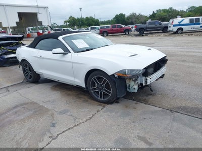 FORD MUSTANG 2019