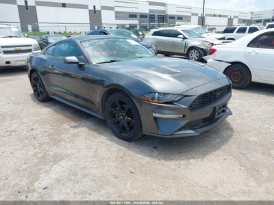 FORD MUSTANG 2019