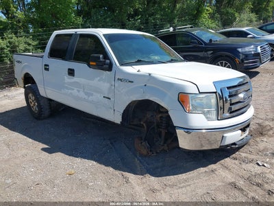 FORD F-150 2014