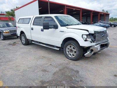 FORD F-150 2010