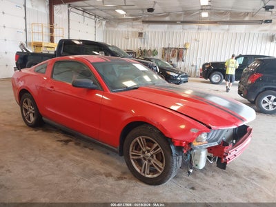 FORD MUSTANG 2010