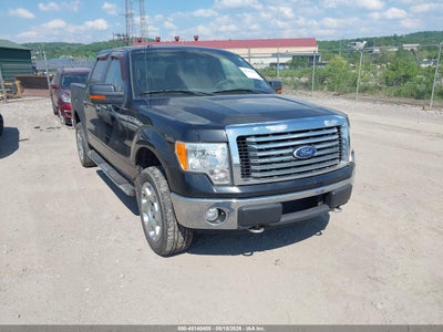FORD F-150 2010