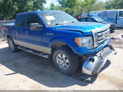 FORD F-150 2009