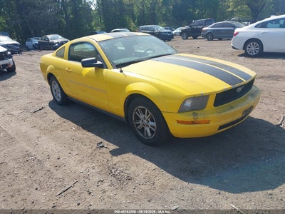 FORD MUSTANG 2005