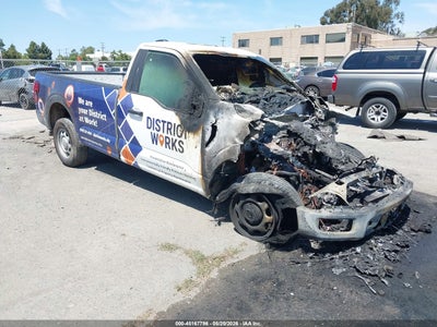 FORD F-150 2024
