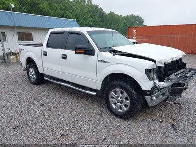 FORD F-150 2014