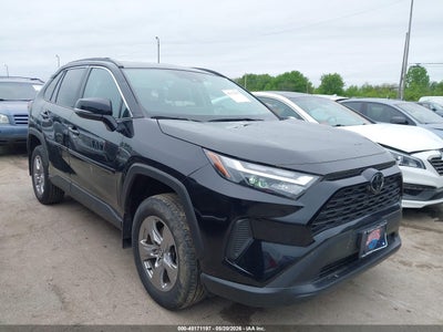 TOYOTA RAV4 2024