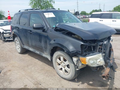 FORD ESCAPE 2010