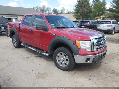 FORD F-150 2009