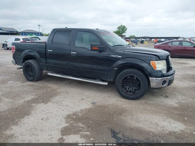 FORD F-150 2010