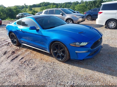 FORD MUSTANG 2019