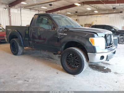 FORD F-150 2010