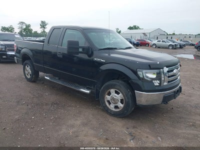 FORD F-150 2009