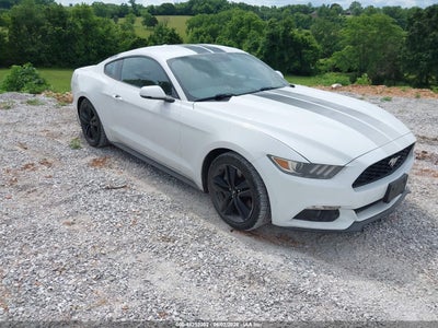 FORD MUSTANG 2016