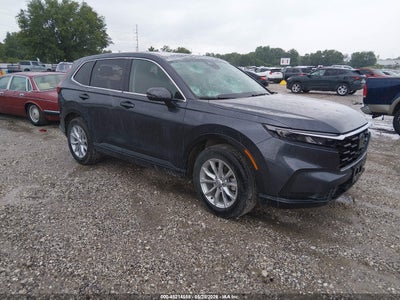 HONDA CR-V 2024