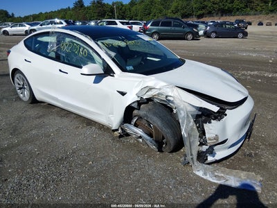 TESLA MODEL 3 2021