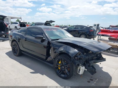 FORD SHELBY GT500 2010