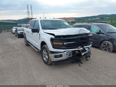 FORD F-150 2024